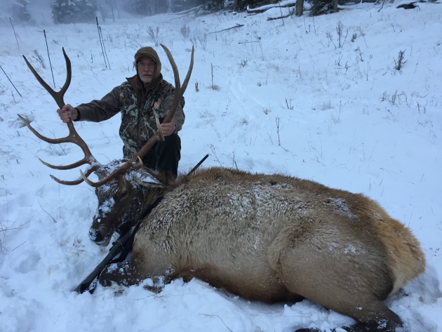 The snow quit falling long enough for the author to take this elk and the accompanying photo.