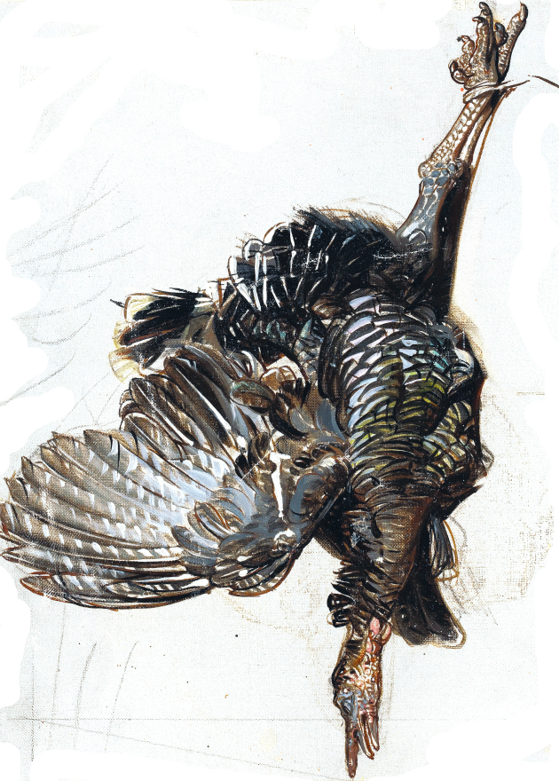 "Study of a turkey leg," by Joseph Christian Leyendecker (1874-1951).