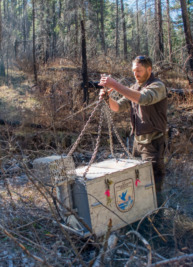 Andy Dean of the New Mexico Fish and Wildlife Conservation Office readies an aerated heli-tank for pickup by helicopter to Mineral Creek.