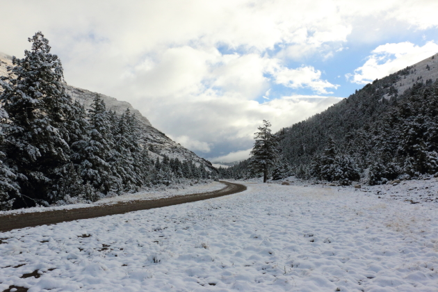 This is how winter in elk country should look. Instead, this Labor Day weekend snow disappeared, only to return after the hunting season closed.