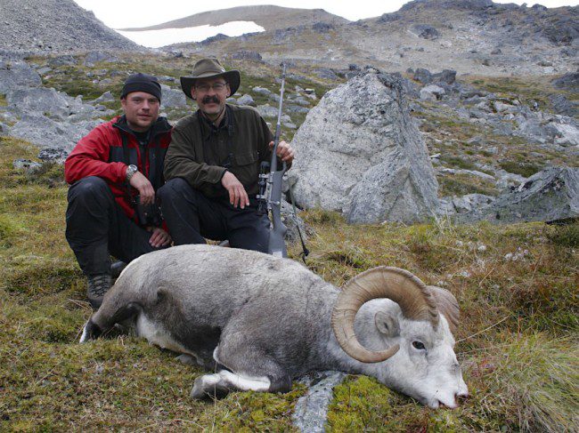 The 20-inch barrel on this .300 WSM Kifaru rifle didn't prevent its 165-grain Swift Scirocco bullet from crossing 400 yards to terminate this Stone's sheep ram with a perfect chest shot. Leupold VX-II 2-7X scope did the sighting; Dawson Deveny did the guiding. He's one of the best.