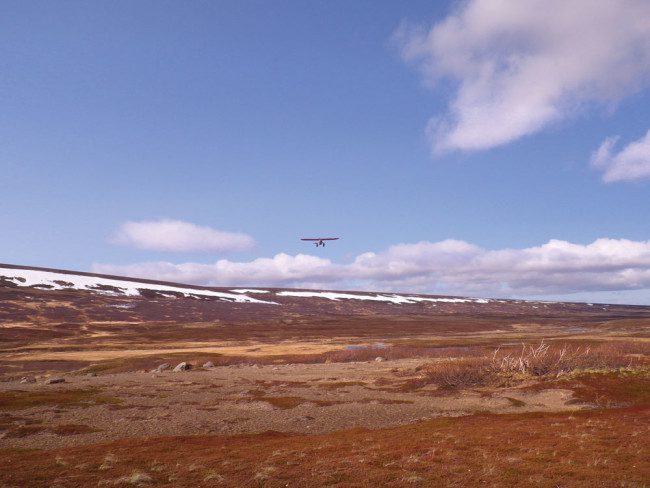 Hunters and guides are shuttled via Super Cubs to proven spike camp locations.