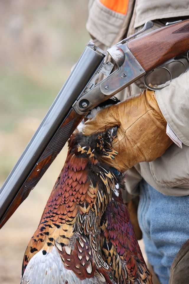 The author may not can sing, but he can shoot. And that's about as patriotic as it gets.