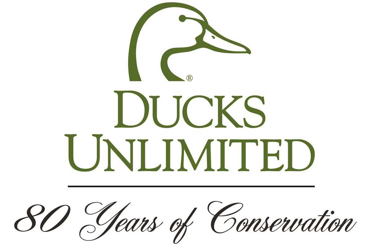 DU is Turning 80