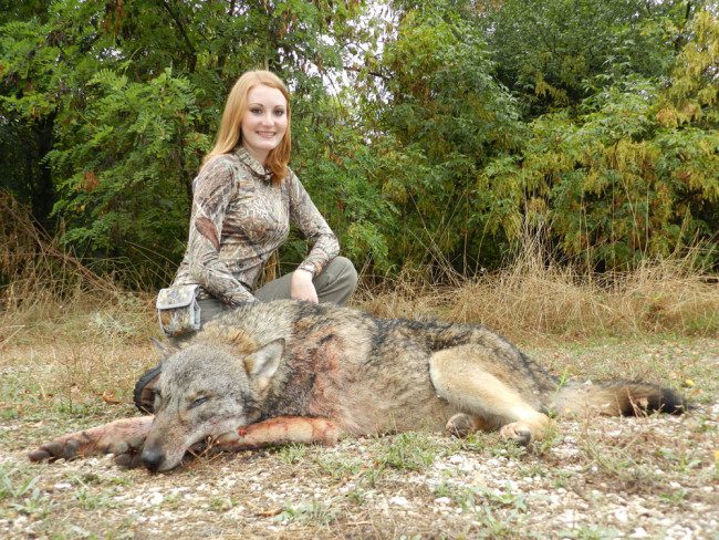 Brittany killed this wolf in Macedonia using night vision optics. Wolves in the country are killing large numbers of livestock.