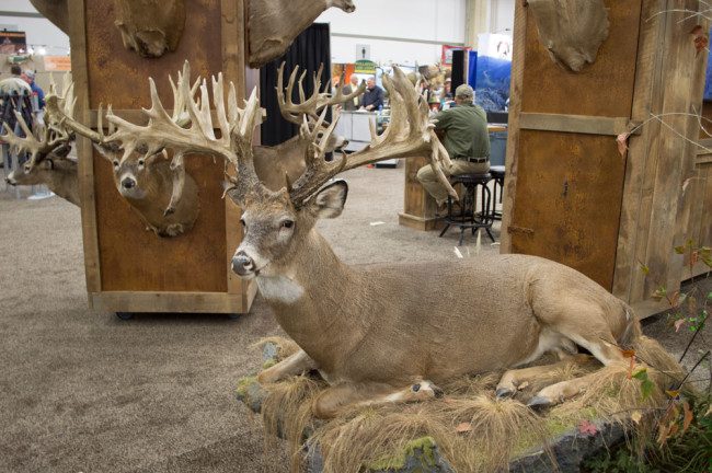 Outfitters help hunters make memories, but taxidermists make those memories eternal. Plenty of beautiful mounts were on hand at the annual DSC convention this weekend.