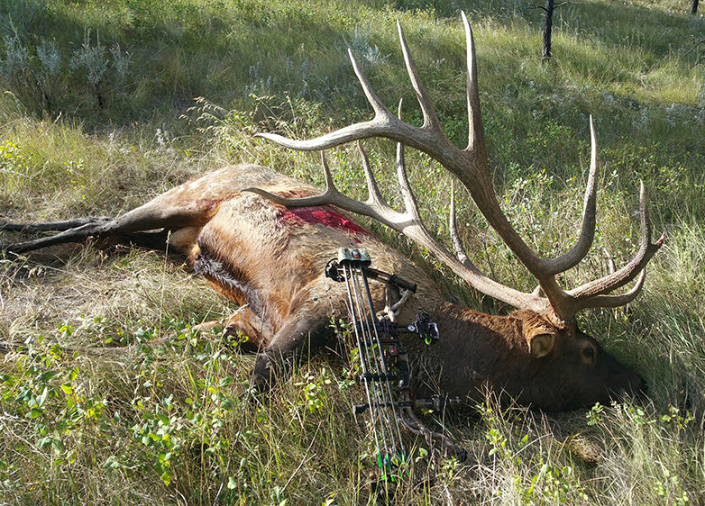 World-Record Elk to be Exhibited at RMEF