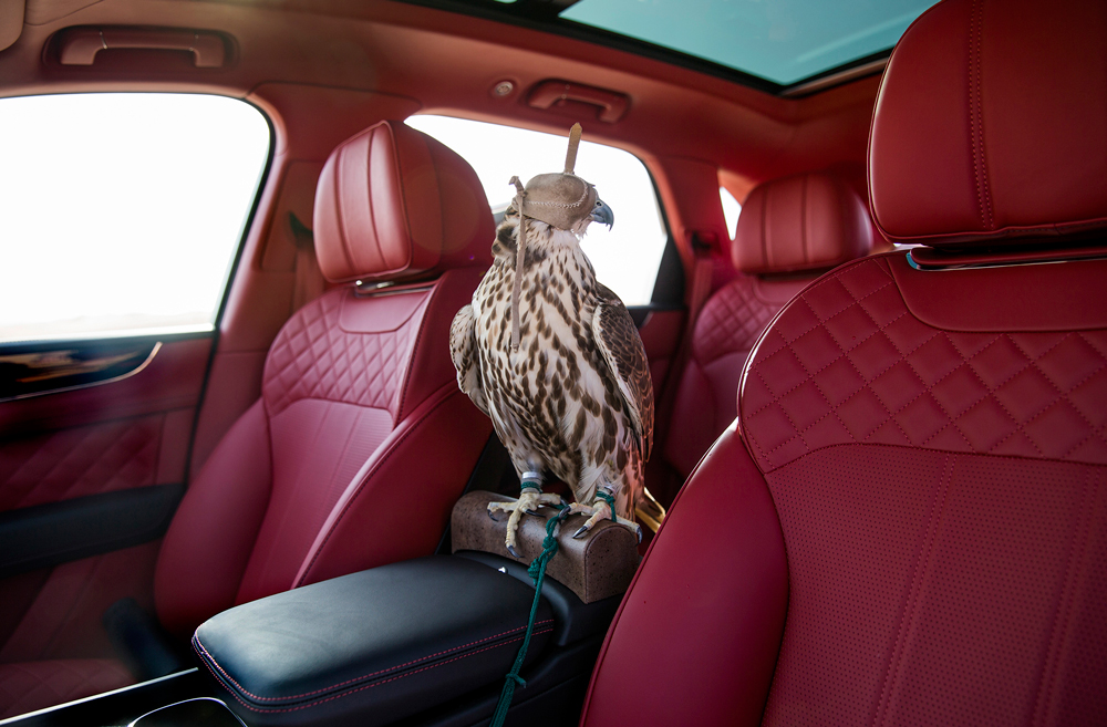 Bentley Debuts Falconry-Themed Bentayga