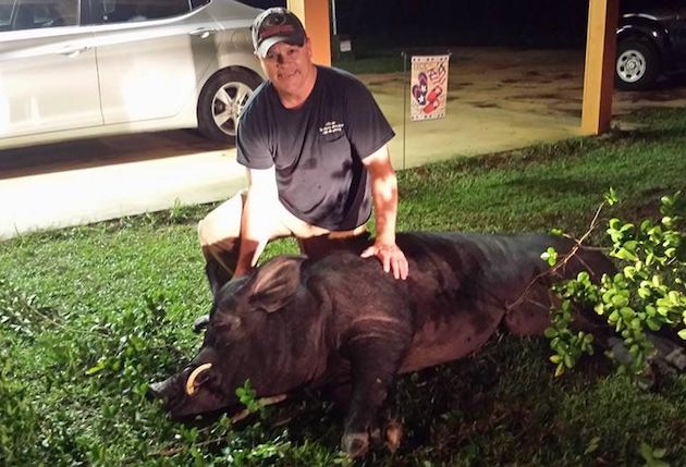 Alabama Man Kills 820-Pound Hog in Front Yard