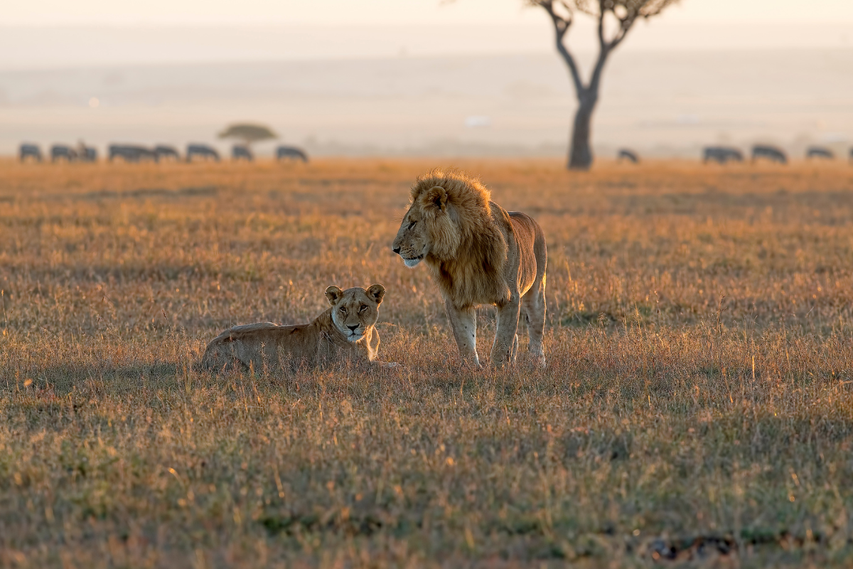 two hearts in Tanzania Africa Dick and Mary Cabela