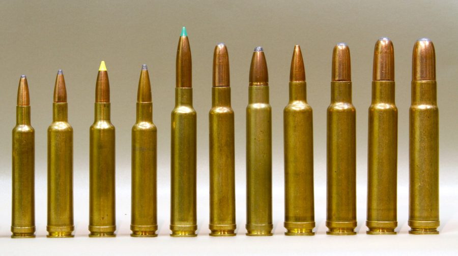 Big or small, Weatherby cartridges were designed to be fast. 