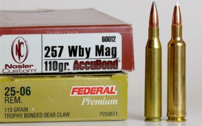 .25-06 Remington Beats 6.5 Creedmoor?