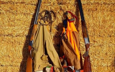 Are We Living In the Good Old Days?