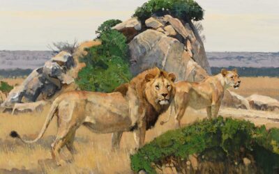 Death in the Peripheral Vision