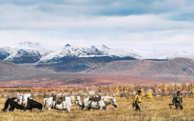 We of the Wandering Soul