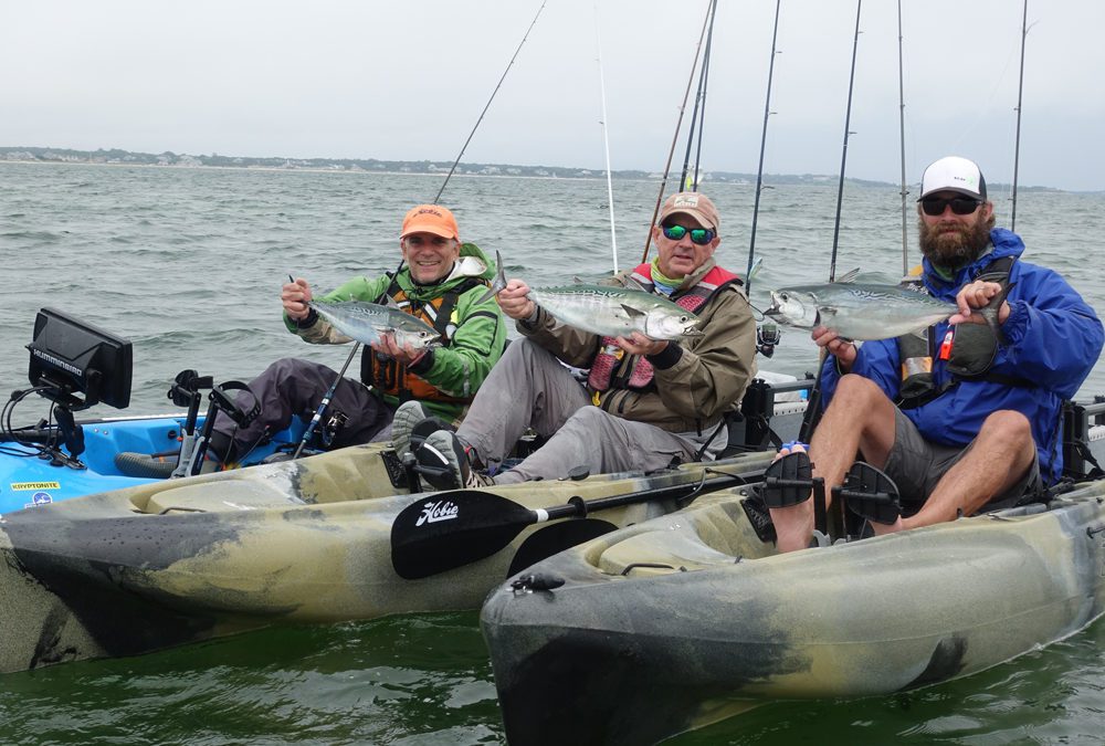 All In a Hobie Kayak