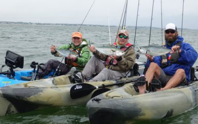 All In a Hobie Kayak