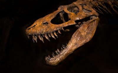 Death in the Jurassic Places