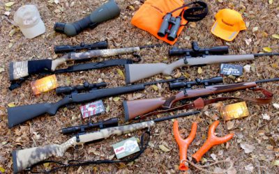 The Long and the Short of It