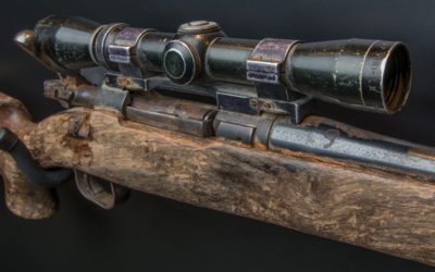 Survival of the Fittest