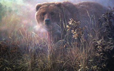 Facing the Bear