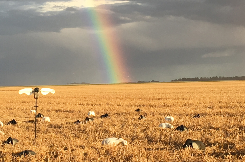 The Gold at the End of the Rainbow