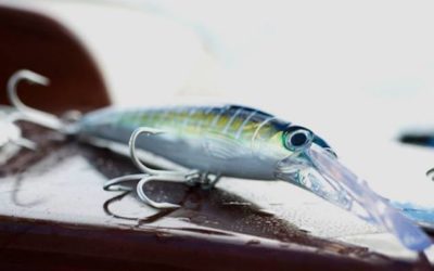 Rapala USA Promotes Company Veterans to Drive Global Growth