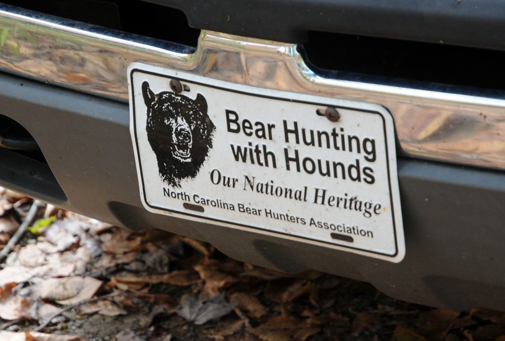 Blue Ridge Bear Hunt