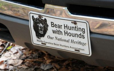 Blue Ridge Bear Hunt