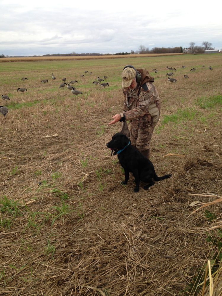 goose hunting 