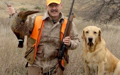 10 Tips to Bag More Ringnecks