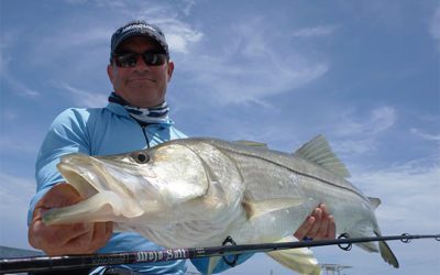 Bolstered for the Brine