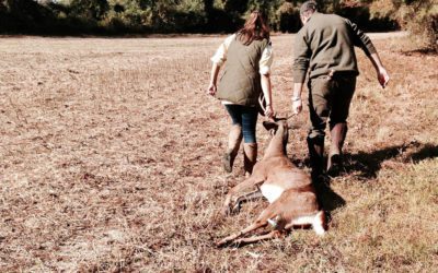 Second Child, First Deer