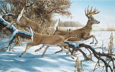 A Southern Christmas Hunt