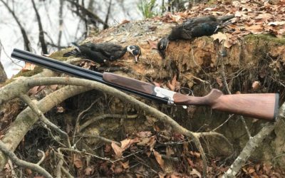 Shooting the Beretta 690 Field I