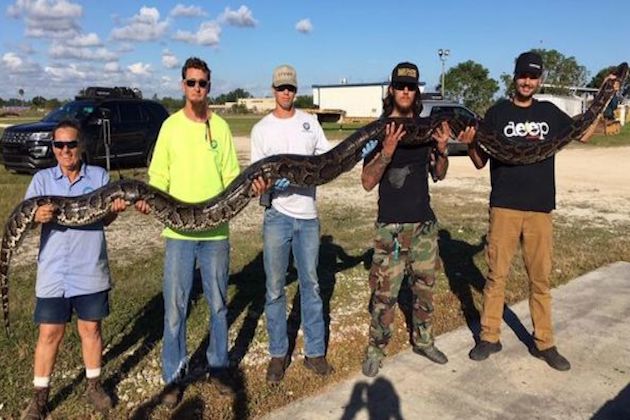 Florida Man Kills 17-Foot Python
