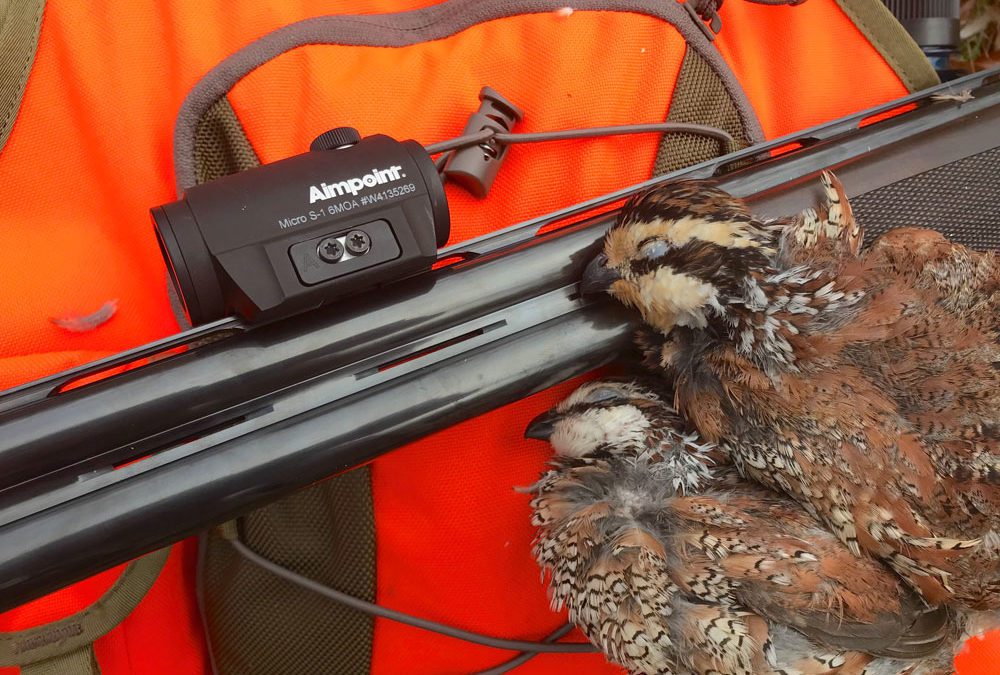 Upland Hunting with Aimpoint’s Micro S-1