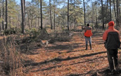 Mr. Bob Isn’t a Gentleman