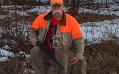 Pheasant in New Hampshire