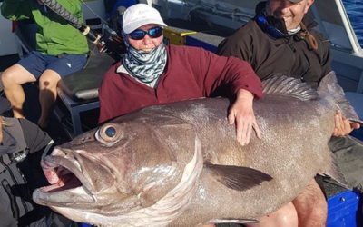 Woman Reels in Massive Grouper