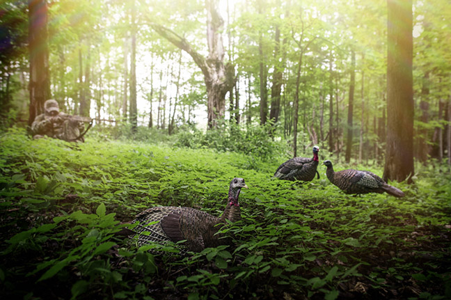 turkey hunting tips for decoys