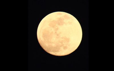 Cast and Blast in Pilgrim Town