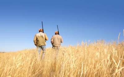 An excerpt from A Small Southern Tale, by Bob Matthews