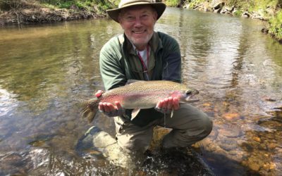 Headwaters on the Soque River