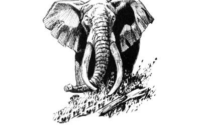 The Bull Would Crush Us Like Mangos.