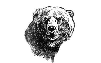 A Bear Beyond Reason by Karl Braendel