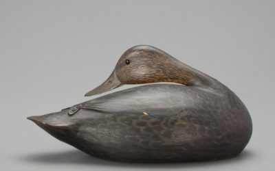 Copley 2018 Sporting Sale Preview