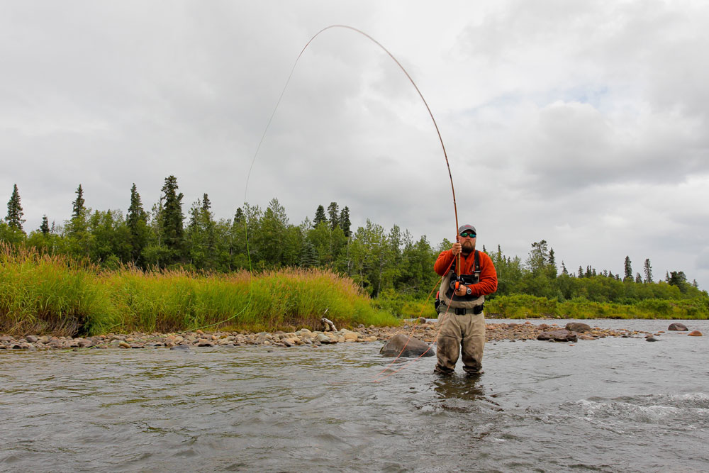 Spey Casting: Learning to Fish for a Fish on a Mission