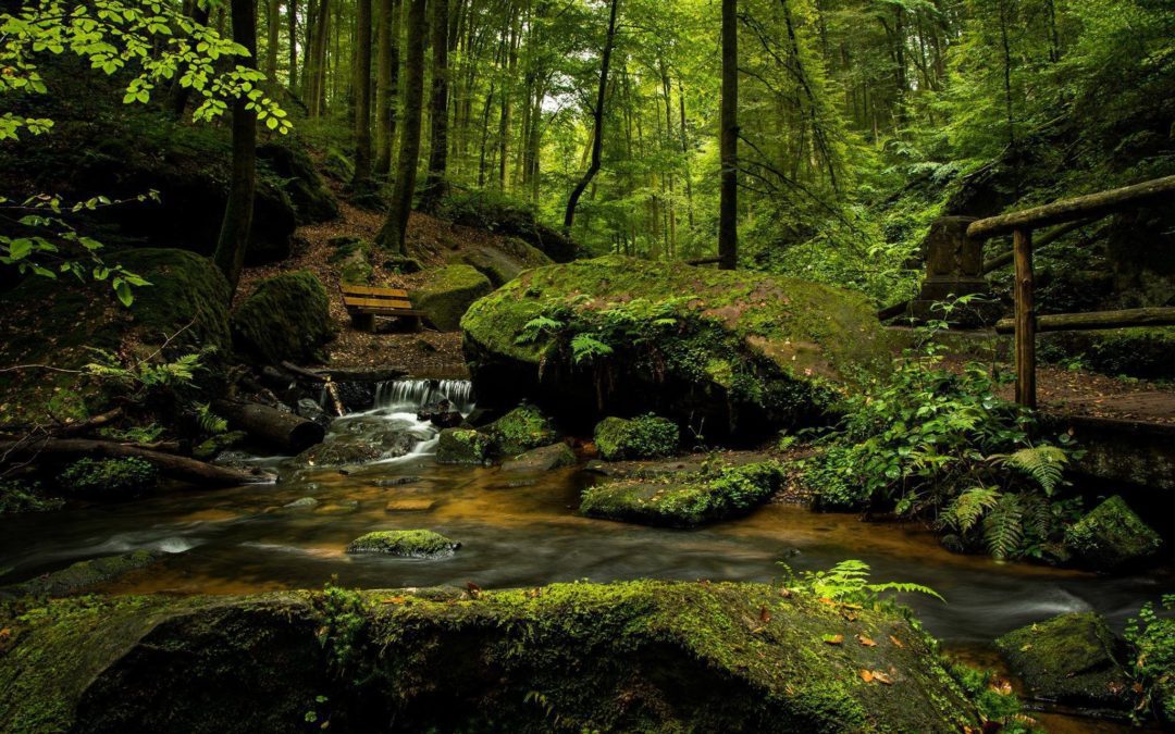 Penn State: Outdoors are too Risky for Outdoors Clubs