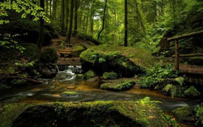 Penn State: Outdoors are too Risky for Outdoors Clubs